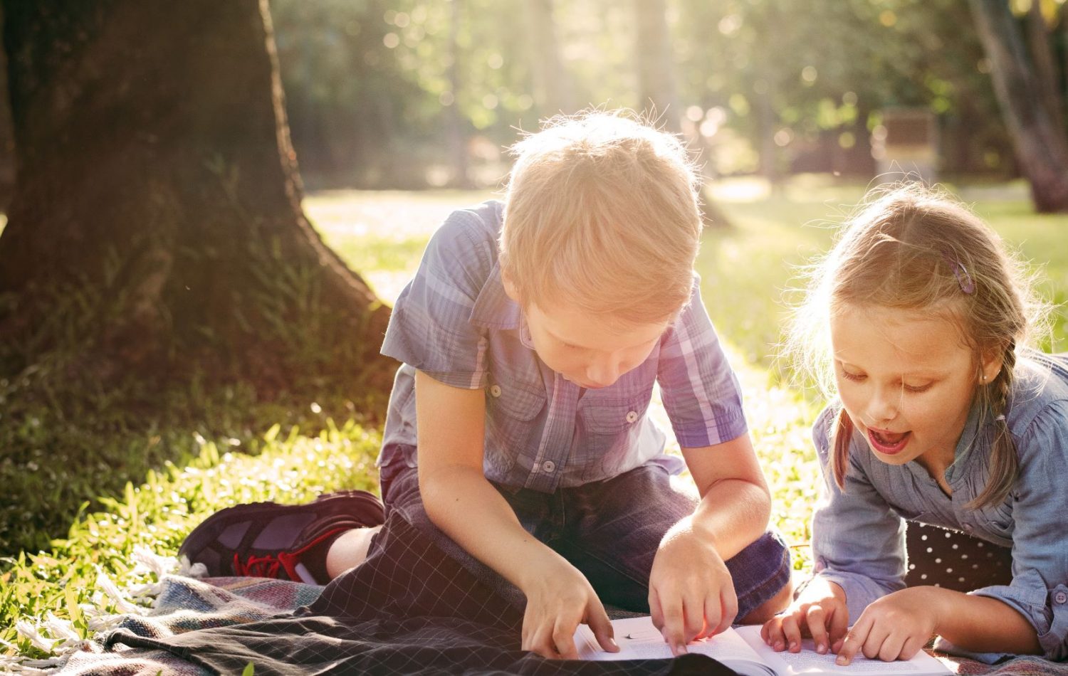 kids-playing-in-the-park-SQGYD49.jpg